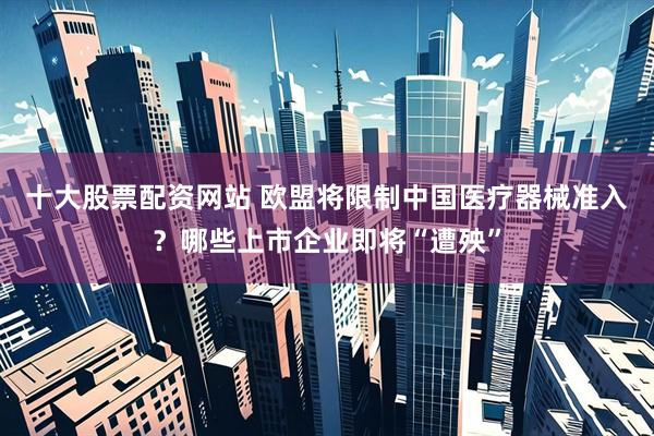 十大股票配资网站 欧盟将限制中国医疗器械准入？哪些上市企业即将“遭殃”
